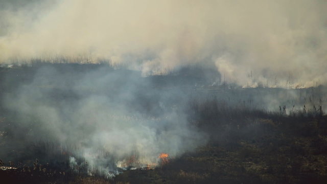The fire and smoke disaster in the field