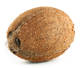 Brown ripe coconut