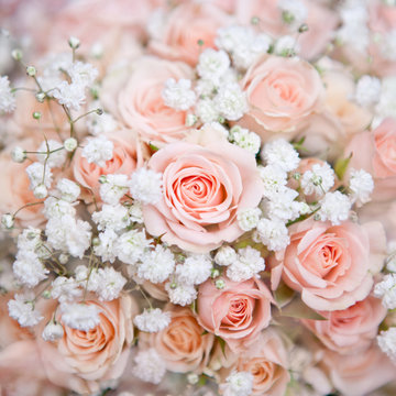 soft pink wedding bouquet with rose bush and little white flower