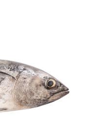 Mackerel tuna or ikan tongkol over white background