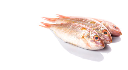 Red fish over white background