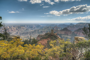 Fototapeta na wymiar Grand Canyon, north rim