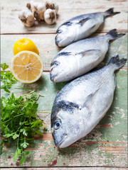 Three big fish (Sparus aurata) freshly caught on a wooden board