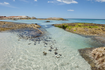 Colourful rocks at beach at Bay of Fire Tasmania