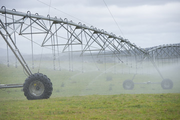 Irrigation by Pivot sprinkler on grass field