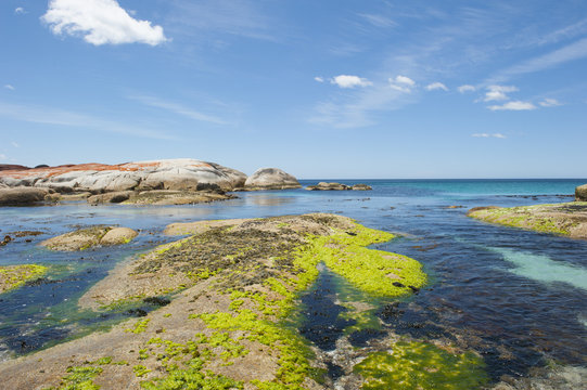 Colourful rocks at Bay of Fire Tasmania, Australia
