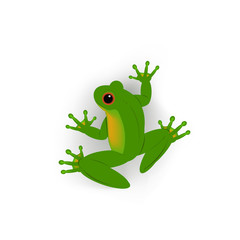 frog
