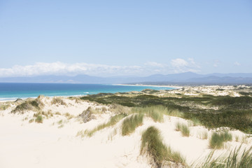 Scenic coast Bay of Fires Tasmania, Australia