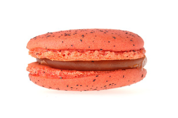 macaron sweet tasty dessert