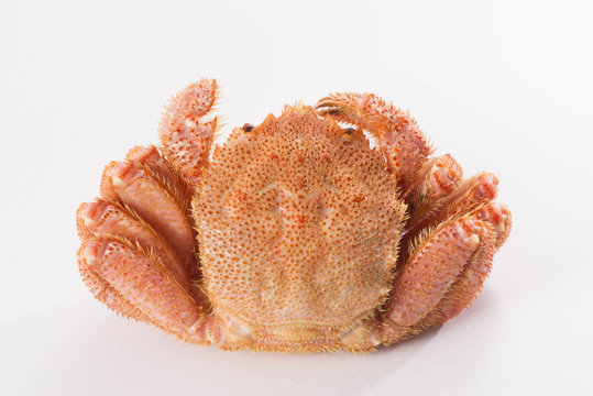 蟹