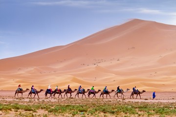 Caravane de chameaux avec des touristes