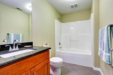 Fototapeta na wymiar Bathroom interior with tile floor and mint walls.