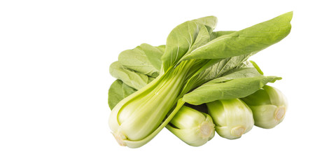 Chinese cabbage or bok choy over white background 