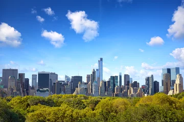 Deurstickers Central Park Manhattan skyline with Central Park in New York City
