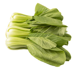 Chinese cabbage or bok choy over white background 