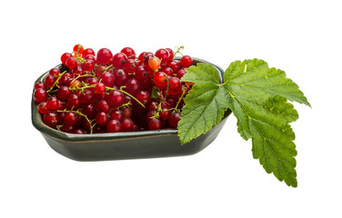 Red currant