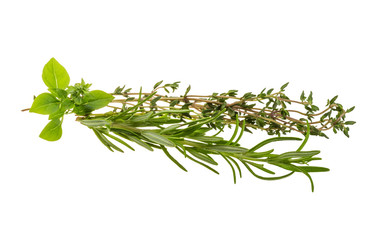 Fresh aroma herbs