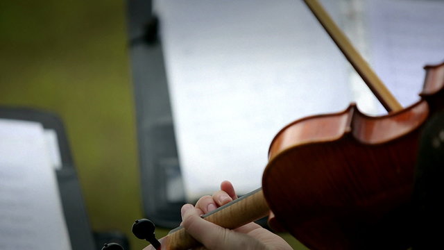Musical quartet. Three violinists and cellist playing music.