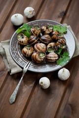 Escargots de Bourgogne, rustic brown wooden background
