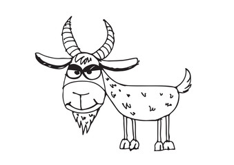 goat cartoon  illustration