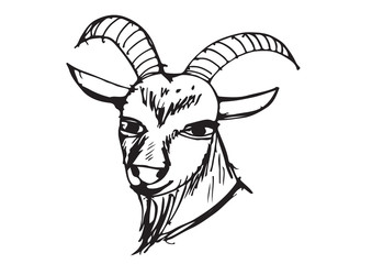 goat cartoon  illustration