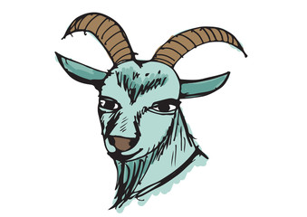 goat cartoon  illustration