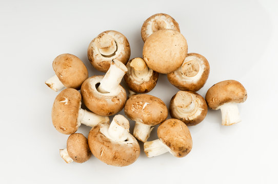 royal mushroom
