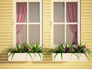 windows on the house and the plants