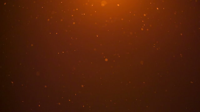 snow falling in front of orange lantern light shoot in raw, can 