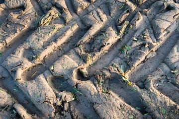 Tractor wheel tracks in clay ground