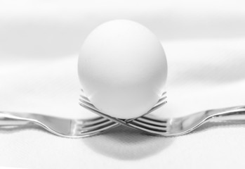 Egg