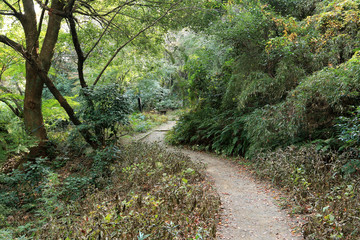 小牧山の散策路