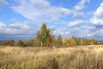 Obraz premium autumn landscape