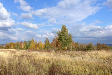 Obraz premium autumn landscape