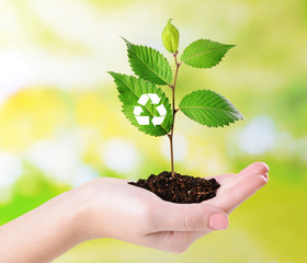 Plant with recycle symbol in hand on bright background