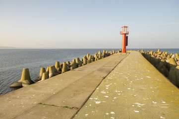 radiolatania morska na wejściu do terminala LNG © Mike Mareen