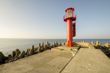 radiolatania morska na wejściu do terminala LNG © Mike Mareen