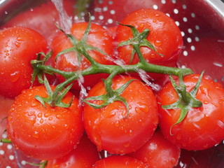 washing tomatoes