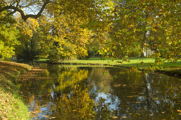 Fototapeta na wymiar jesienna rzeka przepływakjąca przez park