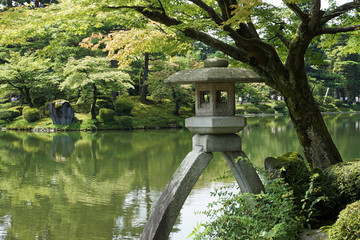 兼六園　ことじ灯籠　※灯籠の隣のモミジは若い木に変わりました
