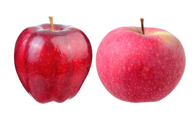 Red ripe apple on white background
