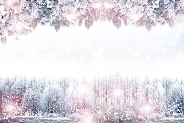 Photo sur Plexiglas Hiver Winter landscape.