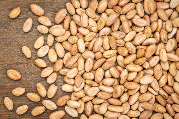 raw cacao beans