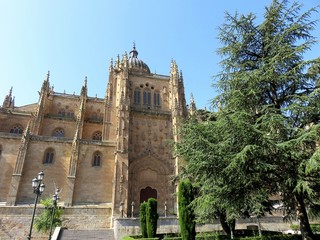 Fototapeta premium salamanca