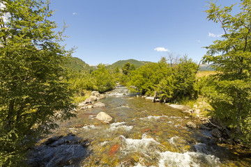 Fototapeta na wymiar Small stream in Nalcas National Park, Chile