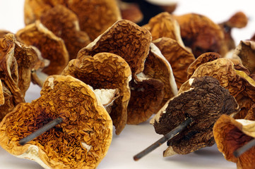 Dried mushroom