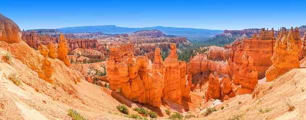Peel and stick wall murals Canyon Panoramic view of Bryce Canyon National Park Utah, USA