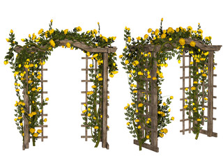Romantic arbor with  yellow roses - obrazy, fototapety, plakaty