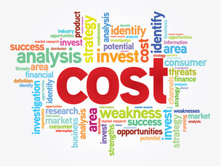 Word cloud of COST related items, vector