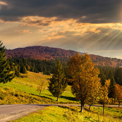 Naklejka premium road going to mountains at sunset